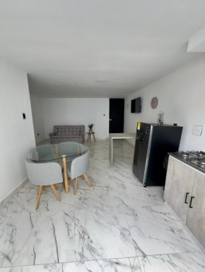 Apartamento nuevo en Manizales 302